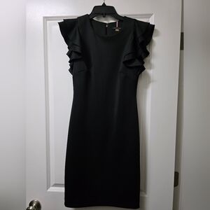 Elegant Black Ruffle Sleeve Dress
